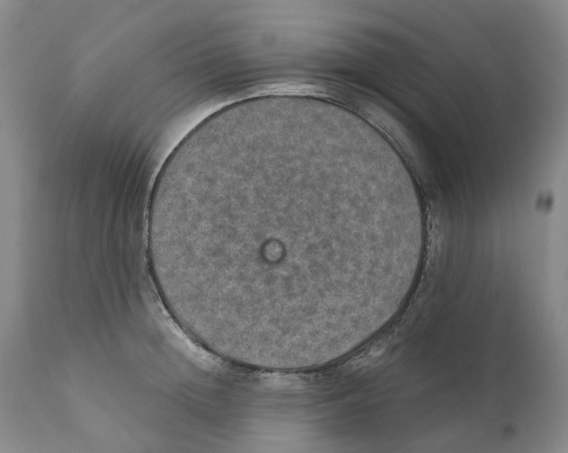 X0000110890852200907161524