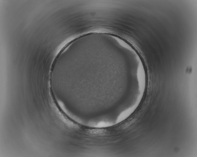 X0000110890853200907161524