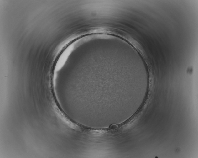 X0000110890854200907161524