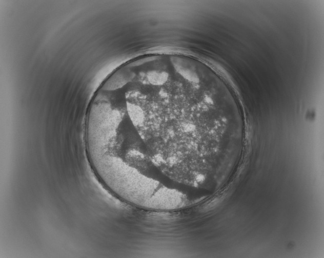 X0000110890855200907161524