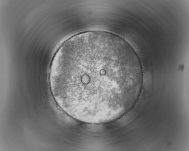 X0000110890856200907161524