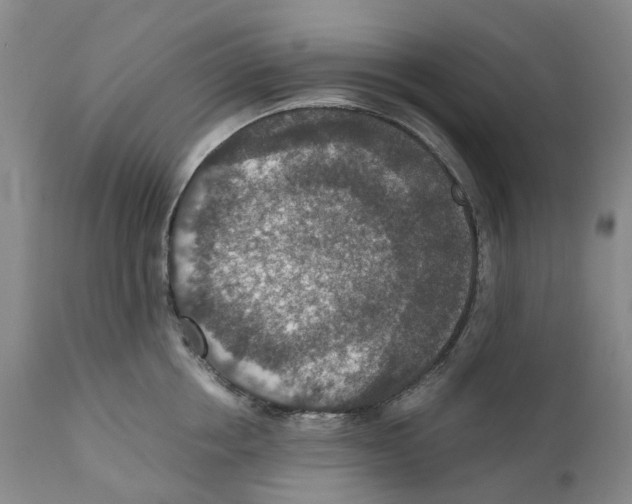 X0000110890858200907161524