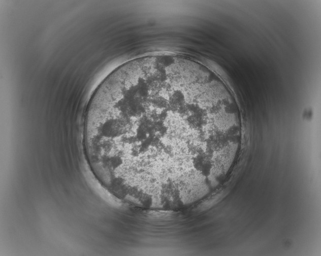 X0000110890859200907161524