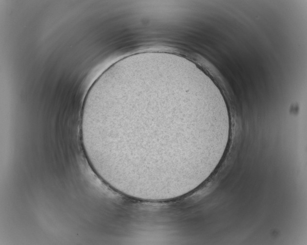 X0000110890860200907161524