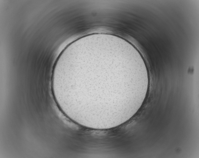 X0000110890861200907161524