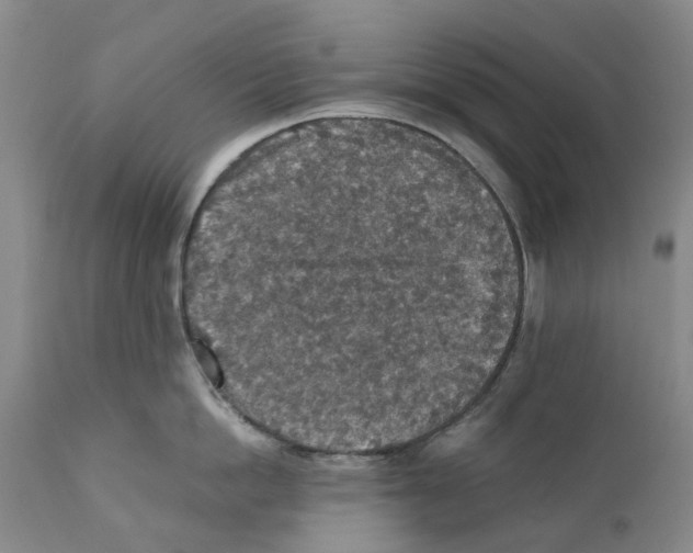 X0000110890862200907161524