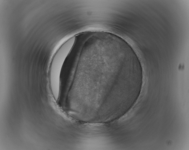 X0000110890864200907161524