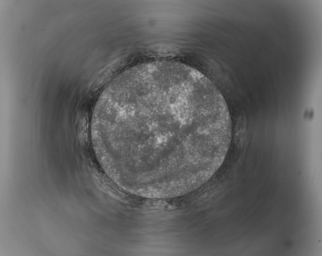 X0000110890866200907161524