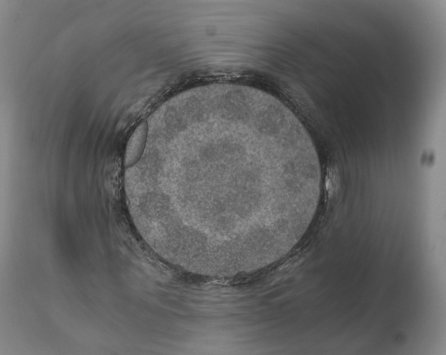 X0000110890867200907161524