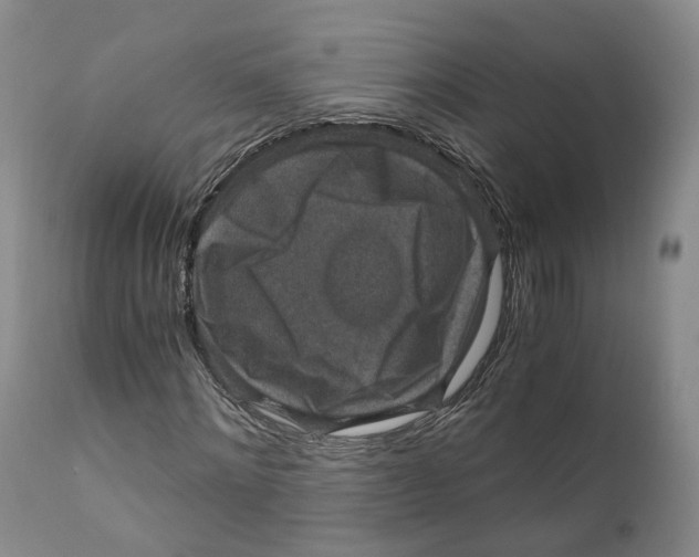 X0000110890868200907161524