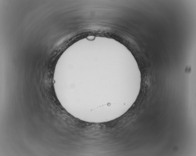 X0000110890869200907161524