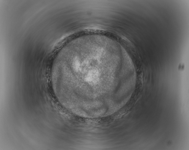 X0000110890870200907161524