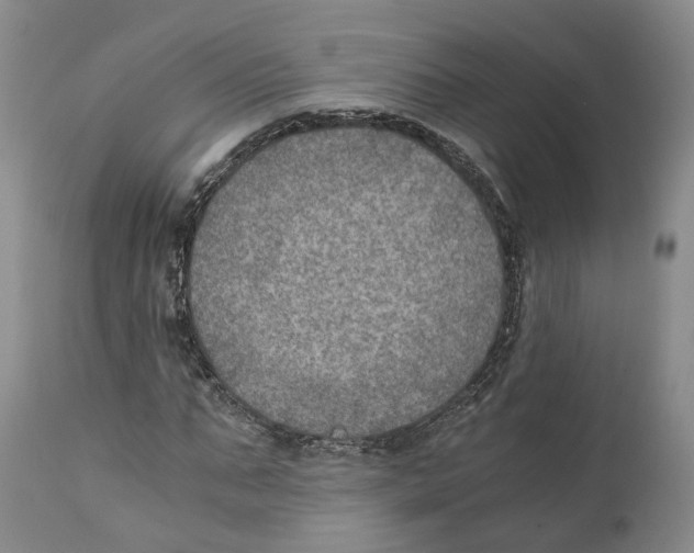 X0000110890871200907161524