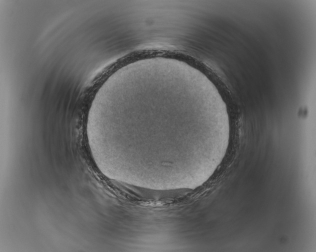 X0000110890872200907161524