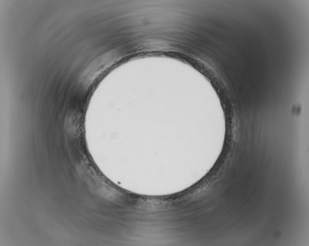 X0000110890873200907161524