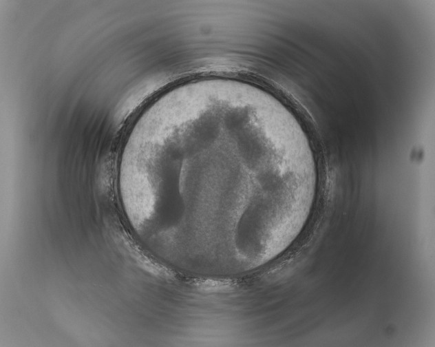 X0000110890874200907161524