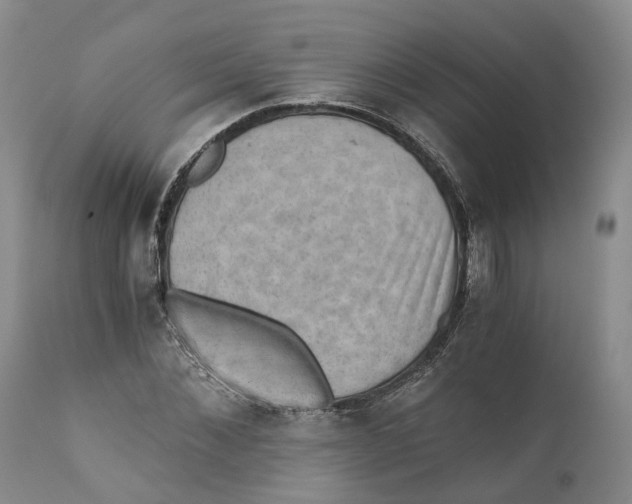 X0000110890876200907161524