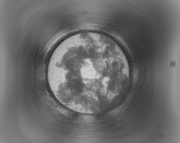 X0000110890878200907161524