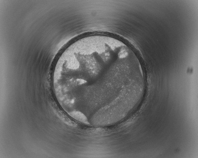 X0000110890879200907161524