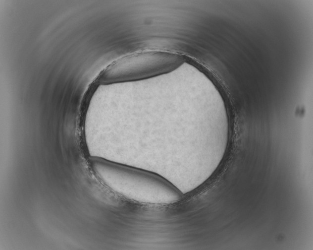 X0000110890880200907161524