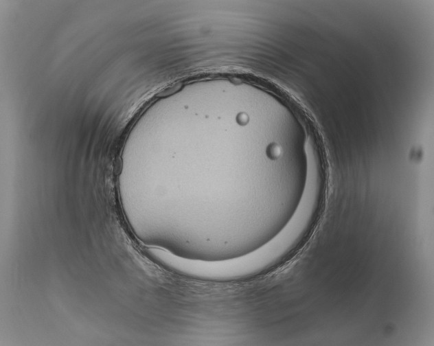 X0000110890881200907161523