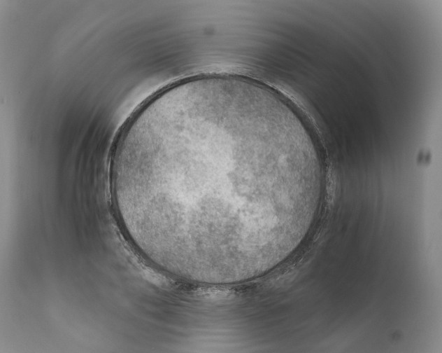 X0000110890886200907161523