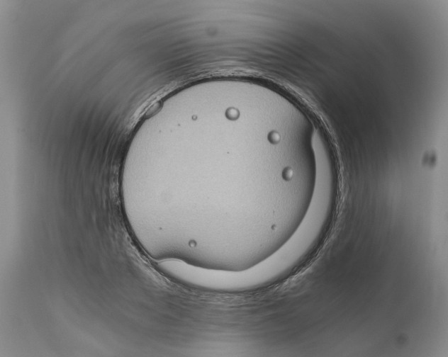 X0000110890889200907161523