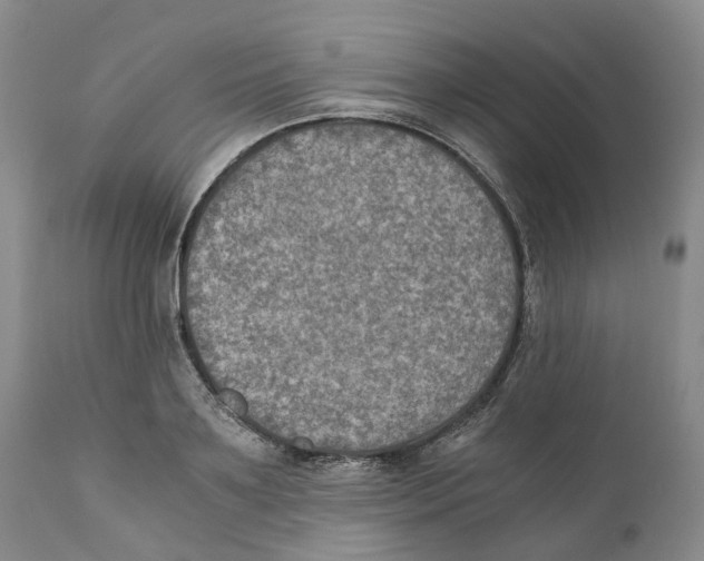 X0000110890891200907161523