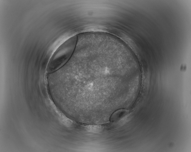 X0000110890893200907161523