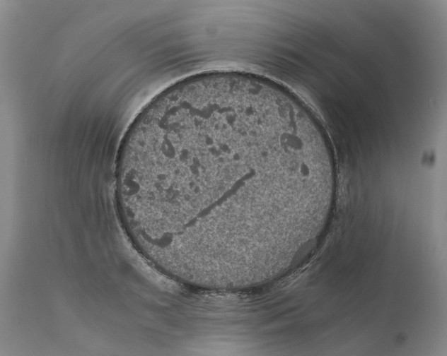 X0000110890895200907161523