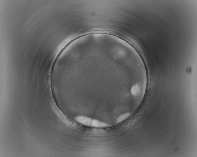 X0000110890907200907161523