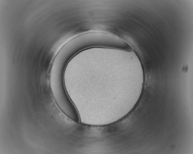 X0000110890908200907161523