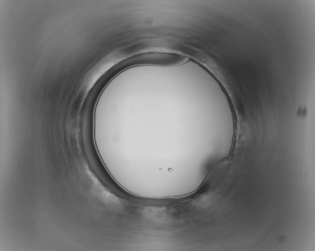 X0000110890909200907161523