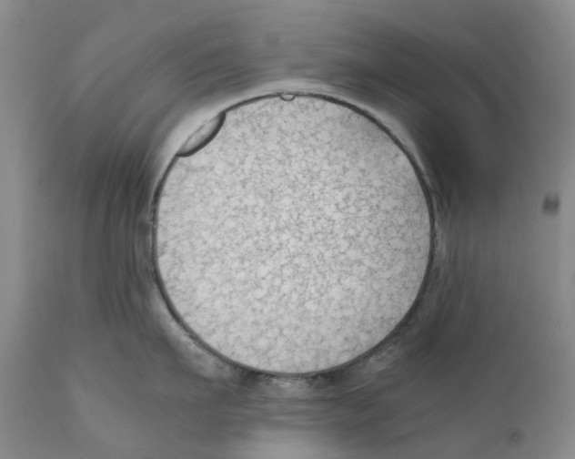 X0000110890911200907161523