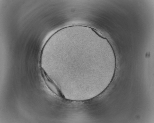 X0000110890912200907161523