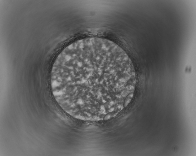 X0000110890913200907161522