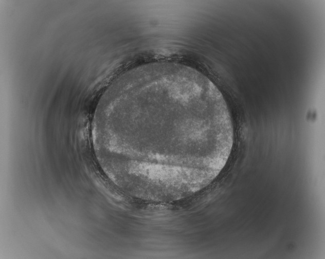 X0000110890914200907161522