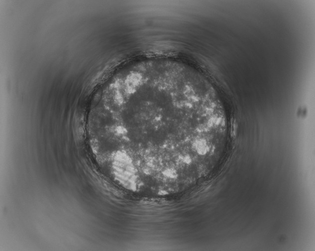 X0000110890915200907161522