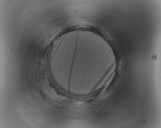 X0000110890916200907161522