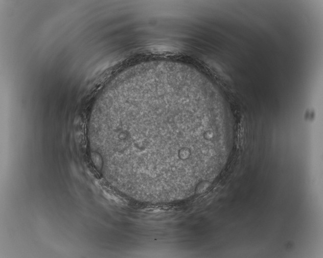 X0000110890917200907161522