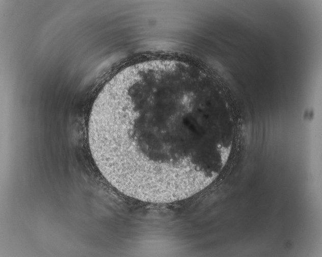 X0000110890918200907161522