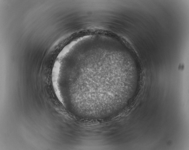 X0000110890919200907161522