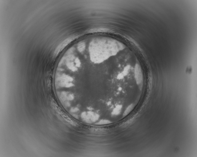 X0000110890921200907161522