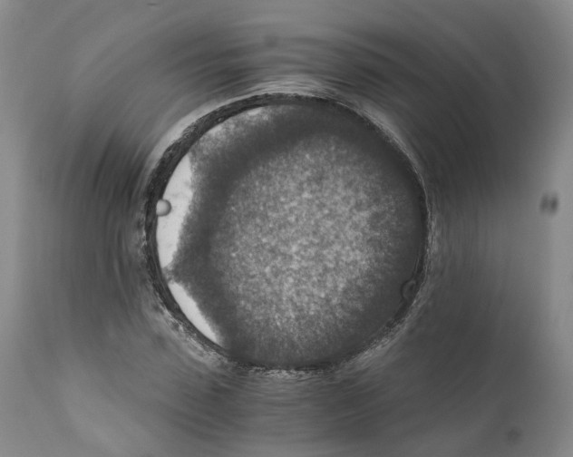 X0000110890923200907161522