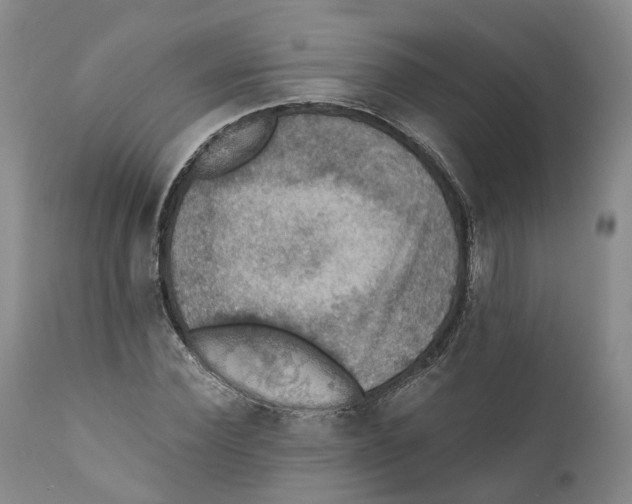 X0000110890924200907161522