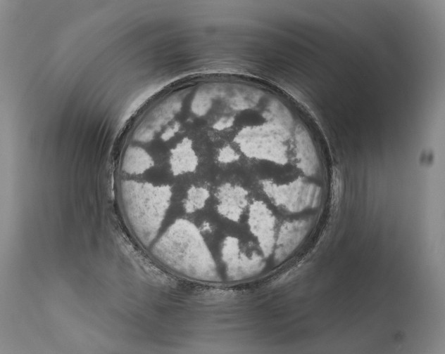 X0000110890925200907161522