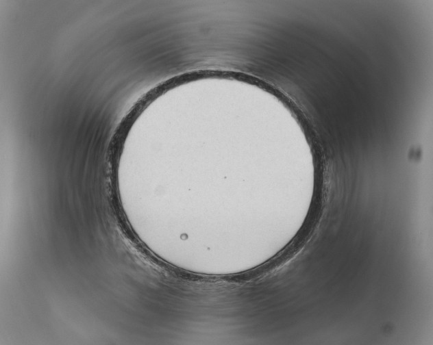 X0000110890926200907161522