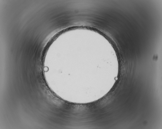 X0000110890927200907161522