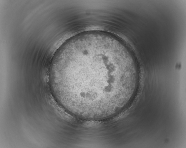 X0000110890929200907161522