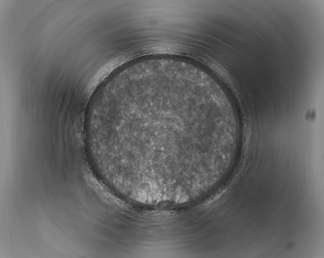 X0000110890930200907161522